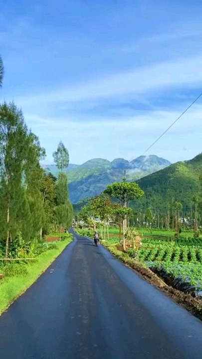 go for a walk