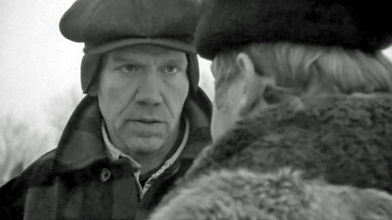 Northern Lights Trailer OV