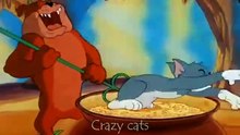 TOM🐱 and JERRY🐭 in Real Life 💥 Best Episodes