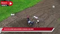 Patates ekim mesaisinin sonuna gelindi