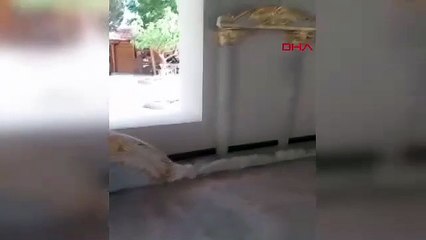 Tarihi camideki hatalı restorasyonu tespit eden sorumluya soruşturma istendi