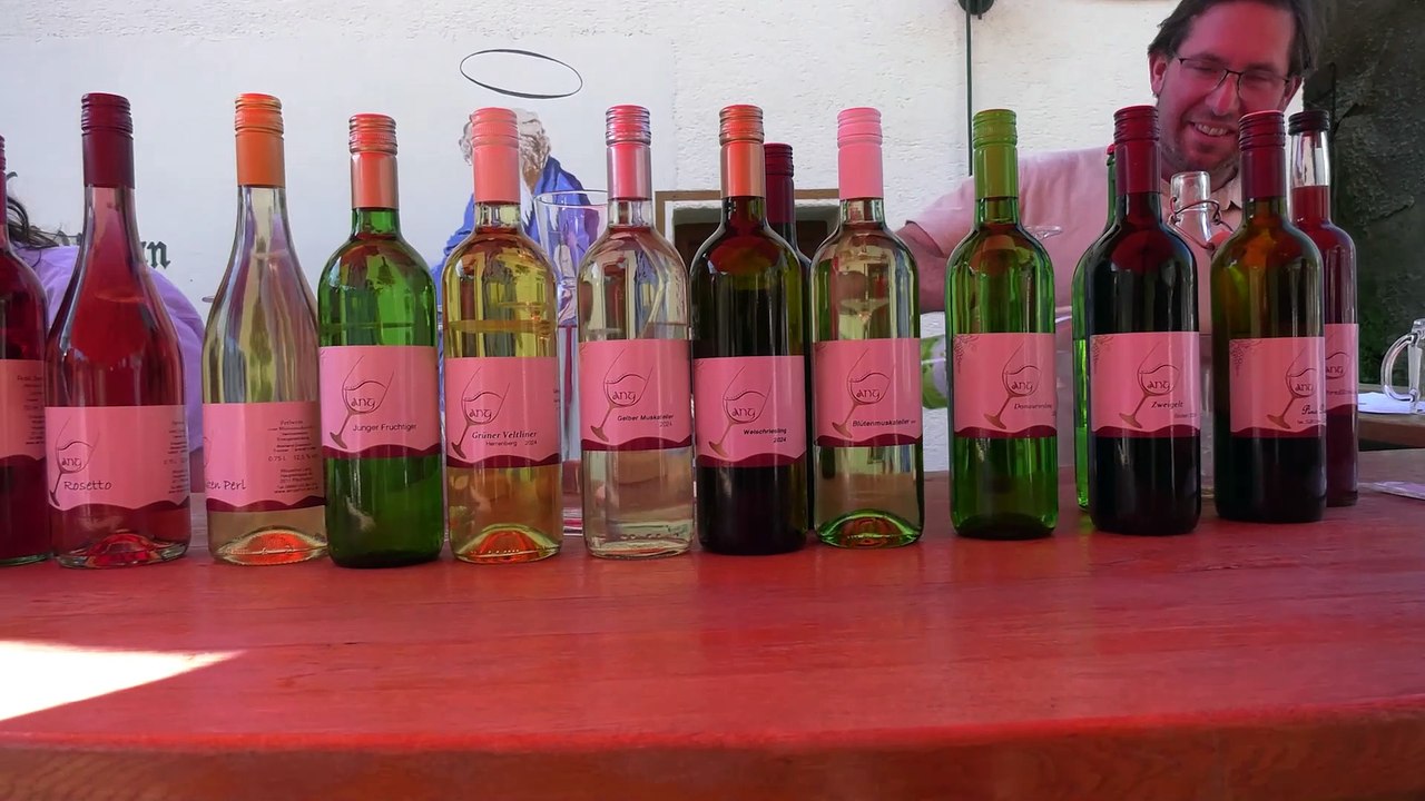 Das war der Kellergassenfrühling 2025 Pillichsdorf