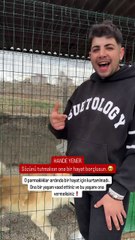 Hande Yener köpek çaldırmış