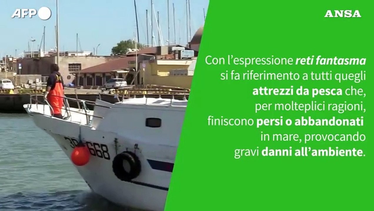 Ansa VERIFIED - E' vero che le reti fantasma stanno trasformando i nostri mari in cimiteri silenziosi?
