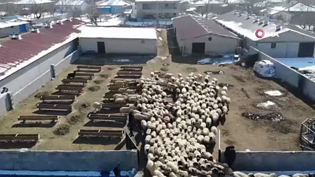 100 bin TL maaşla çalışacak işçi bulamayınca Vali'den yardım istedi...