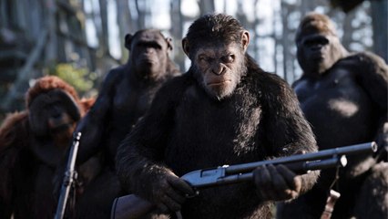 La planète des singes : suprématie