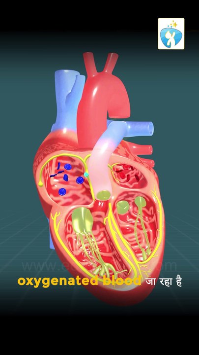 Rethinking Education: How AI and EdTech Are Shaping the Future | EduTech Era Podcast 🎙️