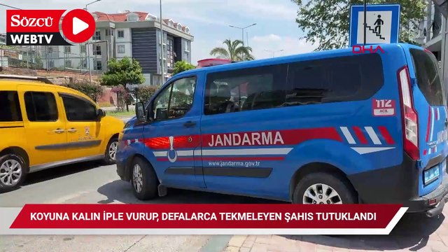 Koyuna kalın iple vurup, defalarca tekmeleyen şahıs tutuklandı