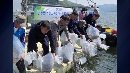 [경기] 가평군, 북한강에 뱀장어 치어 1만7,500마리 방류 / YTN