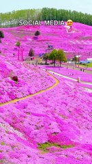 Places In Real Life #travel #explore #destination #adventure