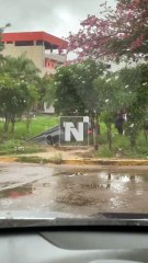 Auto CAE para Canal 🚗