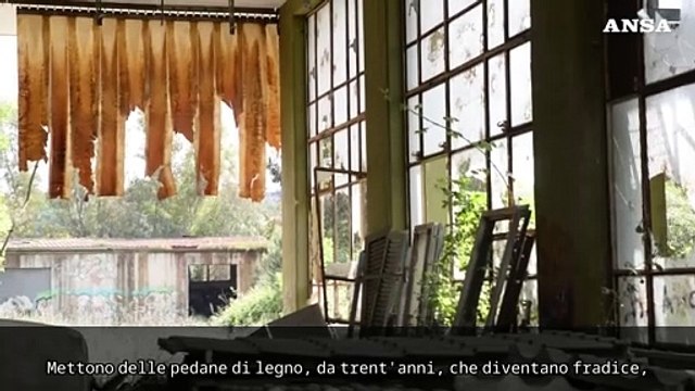 Giu' per 7 piani in uno stabile abbandonato, muore una 19enne a Roma