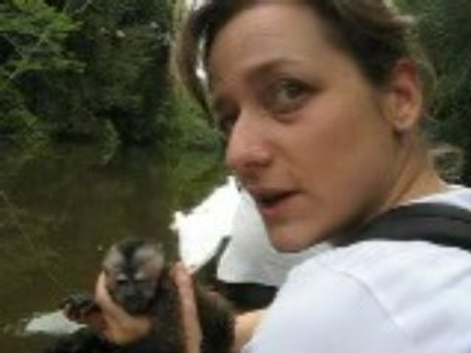 Heureuse rencontre dans la jungle...