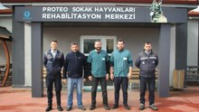 Enkazda canları kurtarırken ölen Proteo'nun adının verildiği merkez hayvanlara şifa dağıtıyor