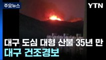대구 도심 대형 산불 35년 만...대구 건조경보 / YTN