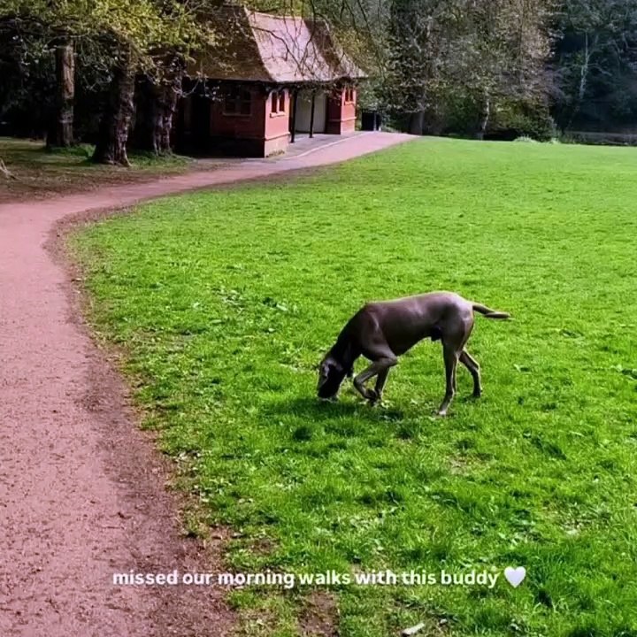 Newcastle United WAG spotted out and about at popular Tyneside beauty spot