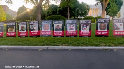 Usa, foto segnaletiche di migranti sul viale verso la Casa Bianca