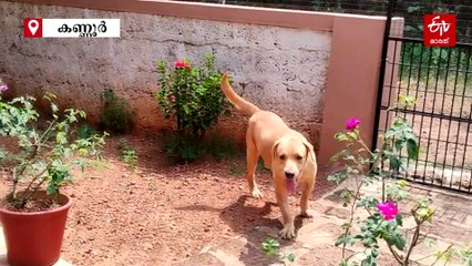 സ്‌കോച്ച് കാഴ്‌ചകള്‍ കണ്ടു തുടങ്ങി, വീല്‍ ചെയറിലിരുന്ന് പരിചരിച്ച് ജയശ്രീ; പക്ഷെ മാക്കിക്ക് പരിഭവം!