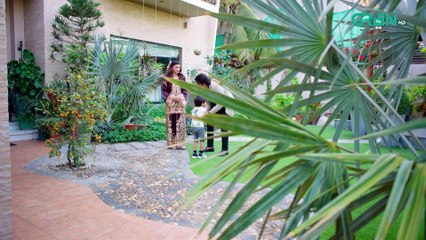 Na Tum Jano Na Hum Episode 19 (Subtitle) 28th April 2025   Hassan Khan - Hina Tariq   Green TV