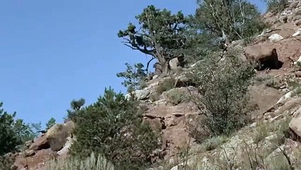 Niesłusznie oskarżeni _ Jack Nicholson _ Amerykański Western _ Polski Lektor