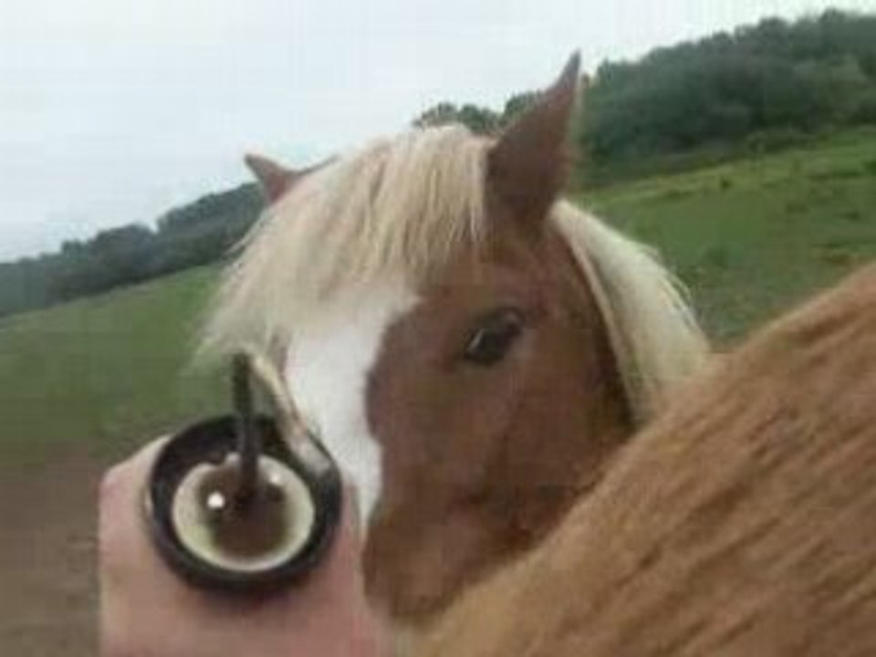Ponette <3