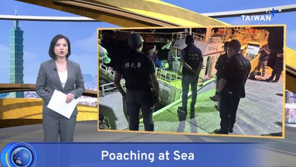 Taiwanese Fishers Face Poaching Charges Over Dolphin's Killing