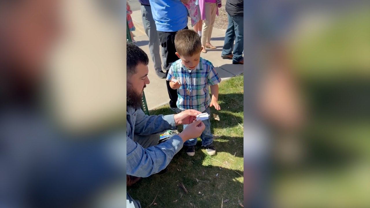 Little boy releases butterfly only for it to get squashed seconds later