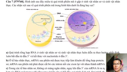 Sinh 12 - Chuyên đề Gene, quá trình truyền đạt thông tin di truyền - Nâng cao
