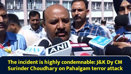 The incident is highly condemnable: J&K Dy CM Surinder Choudhary on Pahalgam terror attack