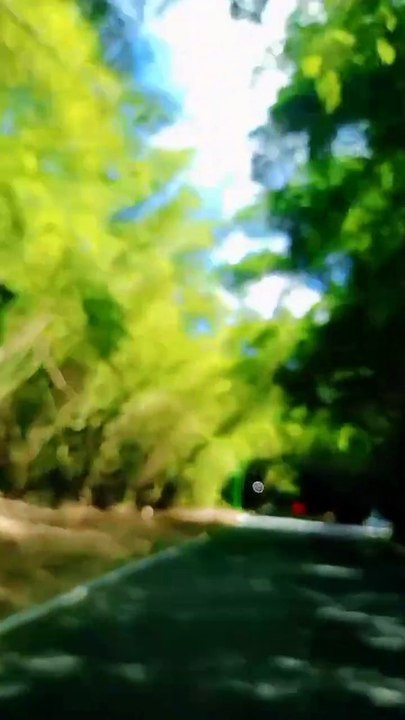 Agente da Guarda Civil atira em pneu de motorista de van em ação no Aeroporto