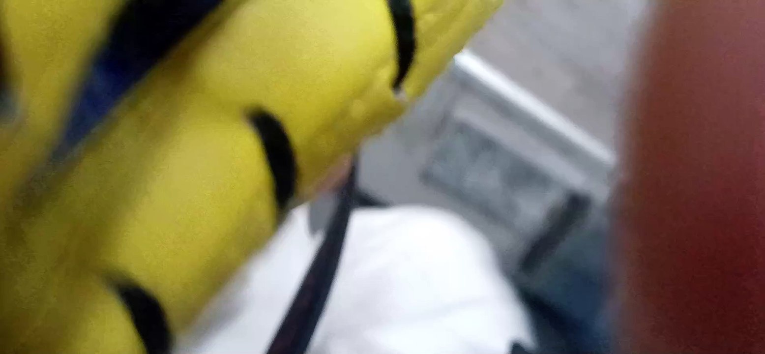 Taekwondo, tkd , viet nam 20250428_200332