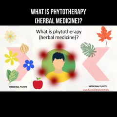 What is phytotherapy (herbal medicine)?