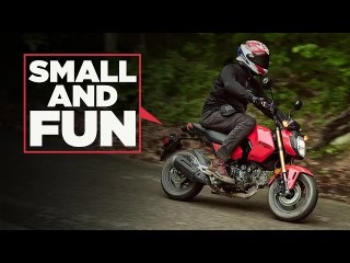 Honda Grom First Ride Review