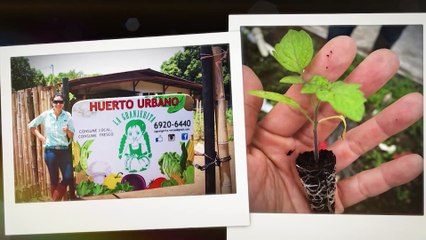 Héroes por Panamá - Lourdes Guerra