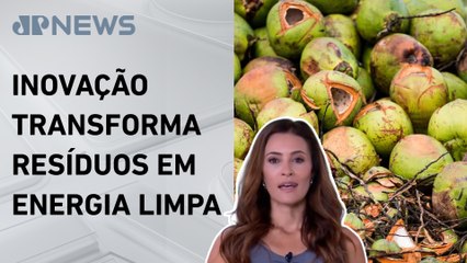 Projeto converte a fibra do coco em biocombustível; Patrícia Costa comenta