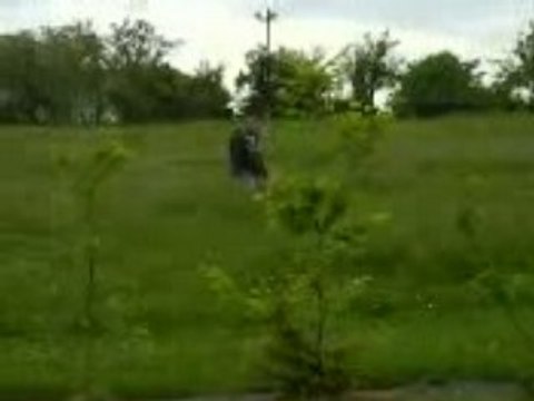 Rampe caillau roller