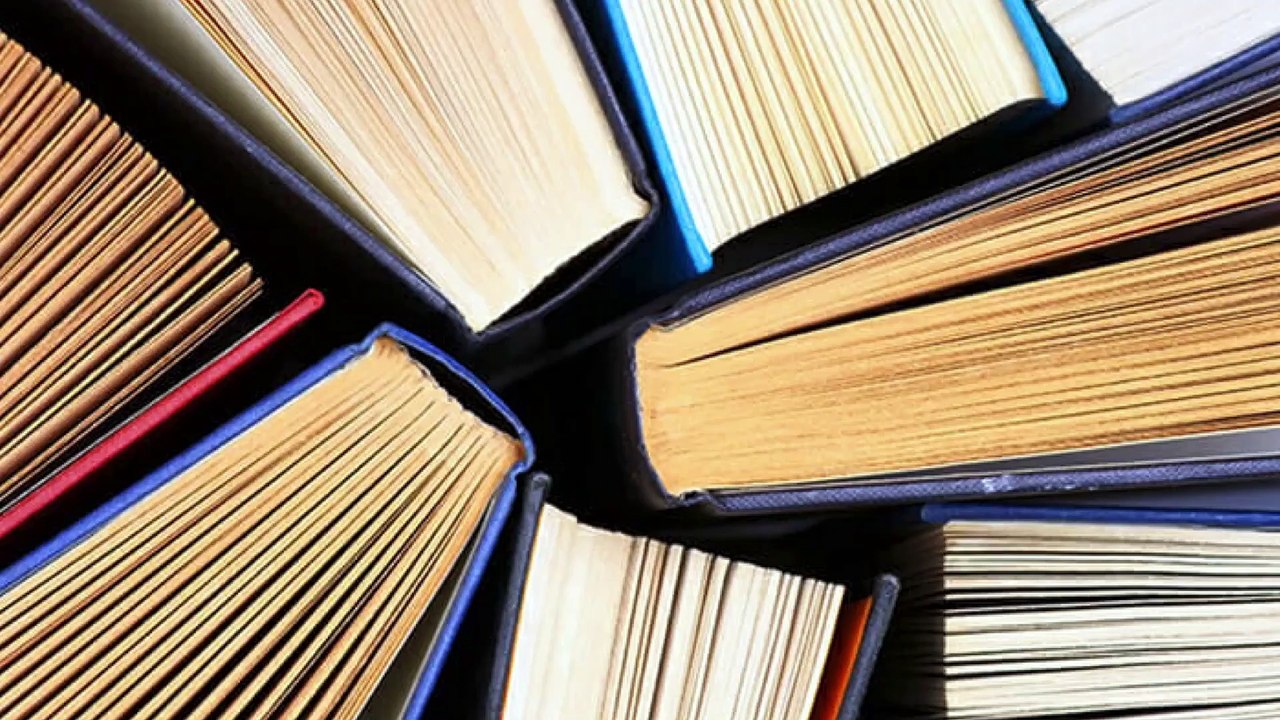 Weaponized Education and the Politics of Obedience