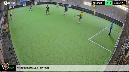 Faute de Camille D - TOHO ZZ
