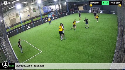 But de Samir R - Blue Bird