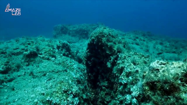 Is The Pacific Ocean Floor Being Ripped Apart?
