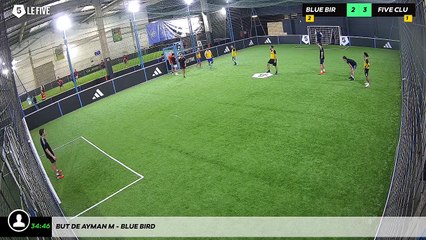 But de Ayman M - Blue Bird