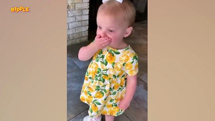 Funny Baby Videos That You Can't Miss!!! - Try Not To Laugh Challenge