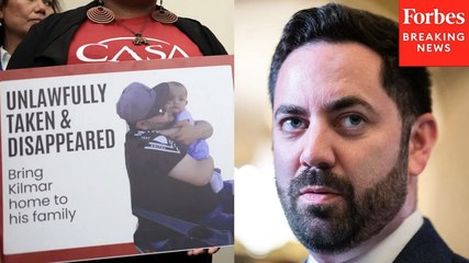 Mike Lawler Asked About ‘Illegal’ Deportations: ‘When Will You Uphold And Adhere To The Constitution?’