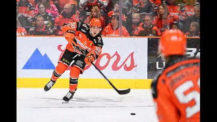 HockeyTalk - Sheffield Steelers head coach Aaron Fox on summer recruitment