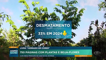 Livro "Cerrado em Cores": 750 páginas com plantas e beija-flores