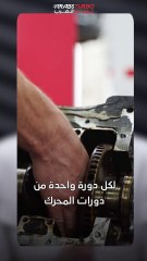 ما هو عود الكرنك ؟ وكيف يعمل؟