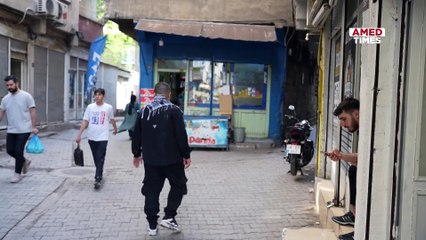 Diyarbakır’ın bu mahallesindeki kediler sadece ciğer yiyor