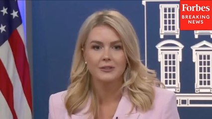 Karoline Leavitt Claims U.S. Will ‘Cripple’ Down Its Current Path, Details External Revenue Service Plans