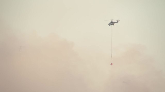 대구 함지산 새벽 4시 진화율 60%...헬기 51대 투입 진화 총력 / YTN