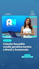 Cabaña Sausalito vendió genética bovina a Brasil y Guatemala